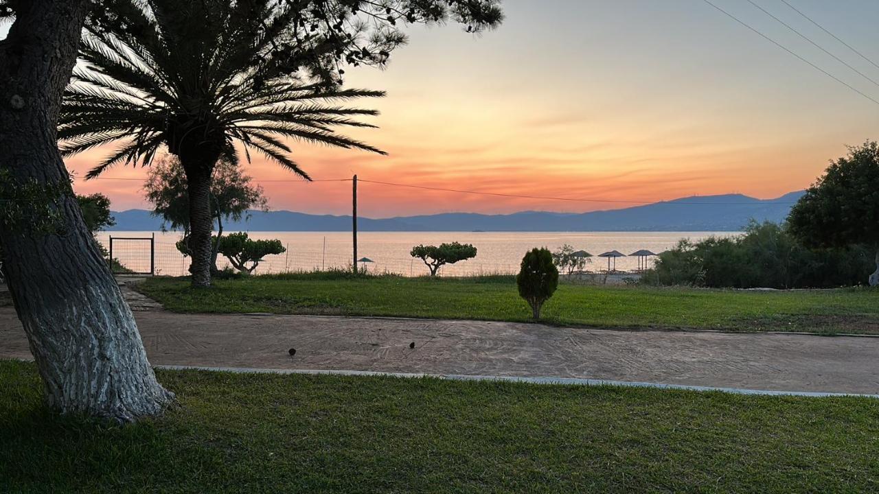 Bouros Seaview Farm Villa Karystos  Dış mekan fotoğraf